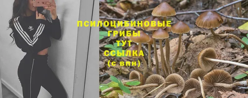 Псилоцибиновые грибы MAGIC MUSHROOMS  Азов 